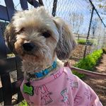 Heather Caron - @heatherjcaron2003 - Instagram