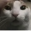 heather case - @heather.case2 - TikTok