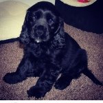 Heather Castle - @hettyfeather1155 - Instagram