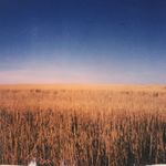 Heather Castle - @thepolaroidtherapist - Instagram