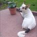 Heather Caswell - Facebook