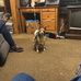 Heather Cecil - Facebook