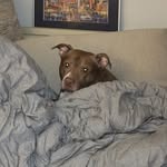 Heather Chaffee - @heatherchaff - Instagram