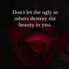 heatherchaffins8 - @heatherchaffins8 - TikTok