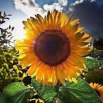 Heather Chalmers - @chalmersh - Instagram