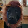 heatherchalmers40 - @heatherchalmers40 - TikTok