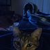 Heather Chambliss - Facebook