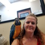 Heather chong - @heatherchong23 - Instagram