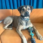 Heather Clary Wheeler - @clarywheeler - Instagram