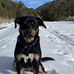 Heather Cleary - Facebook