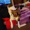 Heather Cleary - @heather.cleary3 - TikTok