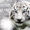 Heather Cleary - @heathercleary04 - TikTok