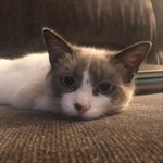 Heather Dicus Clingerman - @heatherclingerman - Instagram
