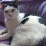 Heather Preval - @heatherclowes8884 - Instagram