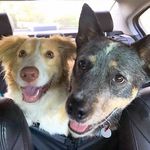 Heather Clyde - @heatherclyde9 - Instagram