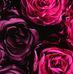 Heather Coen - Facebook