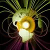 Heather Cohn - @2181415477 - TikTok