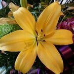 Heather McCracken Colgan - @heathermccrackencolgan - Instagram
