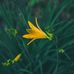 Heather Collett - Facebook