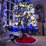 Heather Collings - @heather.collings.39 - Instagram