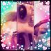 Heather Collard - Facebook