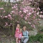 Heather Combs - @heathercombs8082 - Instagram
