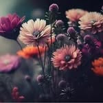 Heather Combs - @heather263798 - Instagram