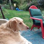 Heather Lawson-Comeau - @hjlc66 - Instagram