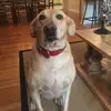heatherconditt - @heatherconditt - TikTok