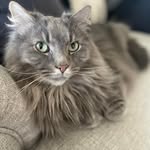 Heather Conger Roop - @hroop07 - Instagram