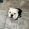 Vivi - @heather.conte - TikTok