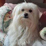 MaryHeather Cookson - @maryheathercookson - Instagram
