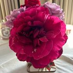 Heather Coombs - @texas42 - Instagram