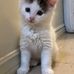 Heather Ann Coons Rourke - Facebook