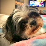 Heather Coons - @heatherncoons - Instagram