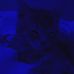 Heather Coots - Facebook
