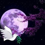Heather Marie Cordle - @heatherlambert6567 - Instagram