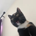 Heather - @heathercorletto - Instagram