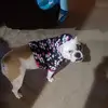 Heather Cortese675 - @heathercortese675 - TikTok