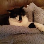 Heather Cota - @cota4216 - Instagram