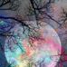 Heather Cotner - Facebook