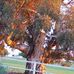 Heather Cotter - Facebook