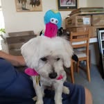 Heather cotter - @patheather5348 - Instagram
