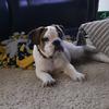 Heather Couchman919 - @whatspopping123456 - TikTok