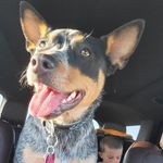 Heather Couchman - @heather_couchman1 - Instagram