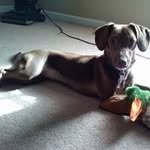 heather - @heathercoupons - Instagram