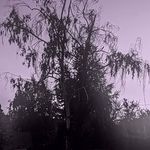 Heather Crawley Chambers - @creepycrawleychambers - Instagram