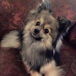 Heather Thorpe Crawley - @heathercrawley - Instagram
