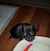 Heather Cribb - Facebook