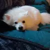 heathercrider52 - @heathercrider52 - TikTok